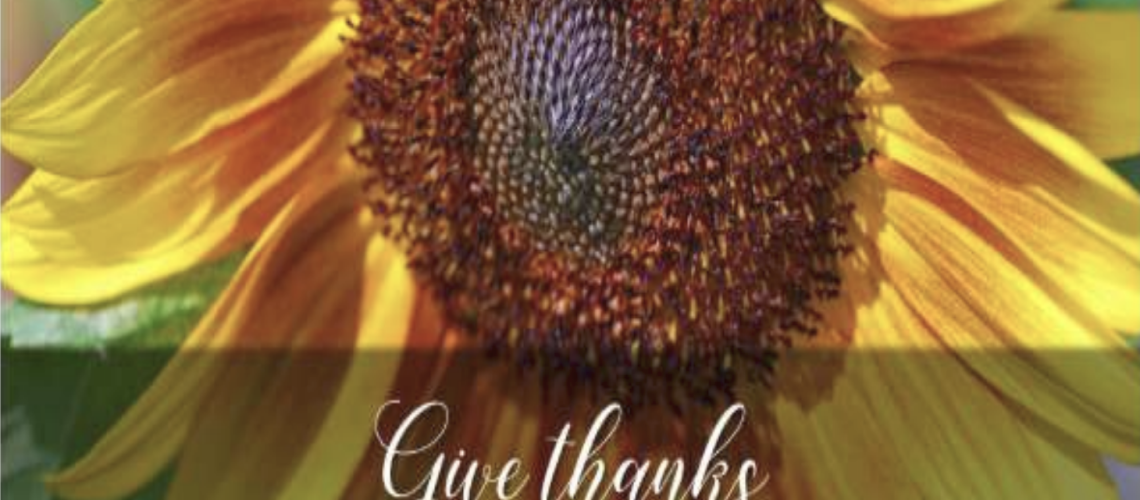 November Newsletter 2025 image