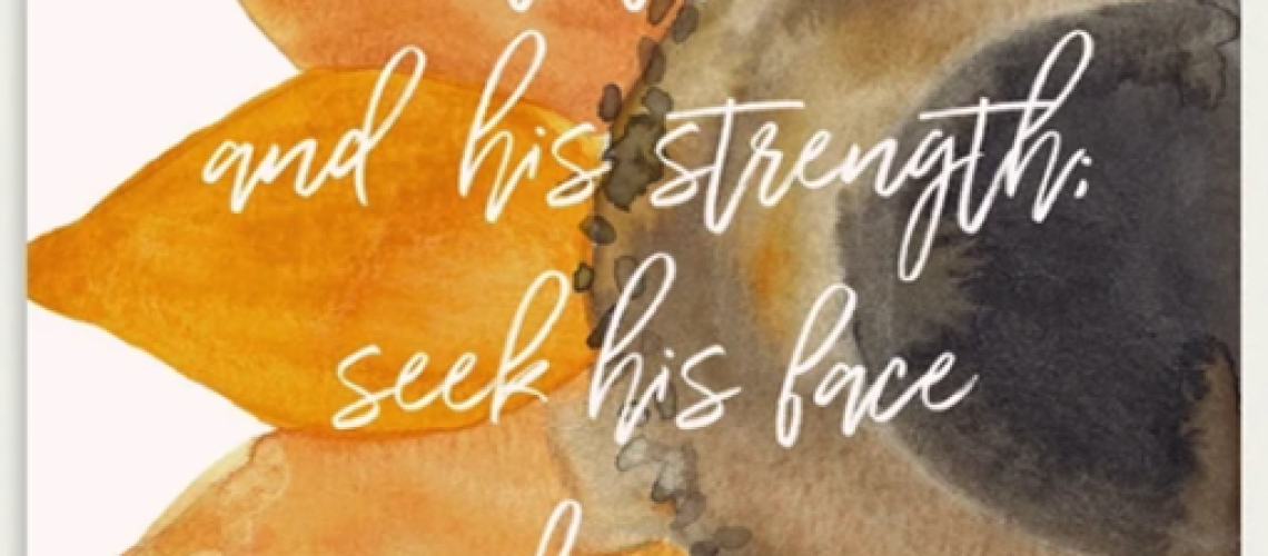 Sept 2025 Newsletter